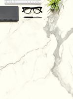 Керамогранит Ariostea Ultra Marmi Bianco Statuario Polished 6mm арт-UM6L150583 — фото 1, Керамогранит