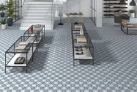 Напольная плитка Dual Gres Origin Lester Blue арт-DG_OR_LB — фото 1, Напольная плитка