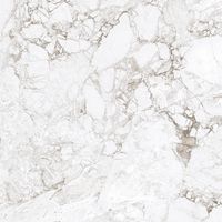 Керамогранит Absolut Gres Rossalia Natural gloss арт-AB1208G — фото 7, Керамогранит