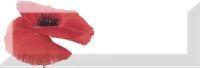 Товар: Декор Absolut Keramika Monocolor Poppy 01 арт-AK0732 - фото 1 Декор Absolut Keramika Monocolor Poppy 01 арт-AK0732 — фото 1, Декор