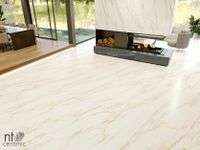 Керамогранит NT Ceramic Atlas Home Carrara Elite арт-NTT3602С — фото 6, Керамогранит