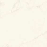 Керамогранит Atlas Concorde Italy Marvel X Calacatta Apuano Lappato арт-AFU7 — фото 14, Керамогранит