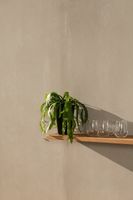 Товар: Керамогранит Imola ceramica Azuma Up A.Up612AvRm 6,5mm арт-A.UP6 12AV RM - фото 10 Керамогранит Imola ceramica Azuma Up A.Up612AvRm 6,5mm арт-A.UP6 12AV RM — фото 10, Керамогранит