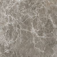 Товар: Керамогранит ProGRES Tasos Матовый Коричневый арт-NR0386 - фото 3 Керамогранит ProGRES Tasos Матовый Коричневый арт-NR0386 — фото 3, Керамогранит