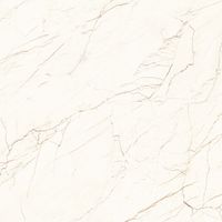 Керамогранит Arcadia Ceramica Ceasar Carving арт-CR6003-A — фото 5, Керамогранит