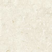 Керамогранит Grespania Fosil Bone Rec арт-82F235R — фото 2, Керамогранит