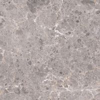 Керамогранит Grespania Artic Gris Nat арт-81RC-36 — фото 1, Керамогранит