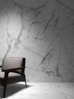 Керамогранит Living Ceramics Blanc Calacatta арт-BL/CAL/SF-TX — фото 3, Керамогранит