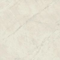 Керамогранит Atlas Concorde Italy Marvel X Calacatta Perla Silk арт-AFVV — фото 1, Керамогранит