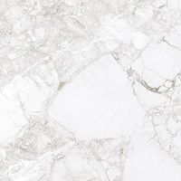 Керамогранит Absolut Gres Rossalia Natural gloss арт-AB1208G — фото 4, Керамогранит