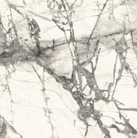 Керамогранит Ariostea Ultra Marmi Imperial Grey Natural 6mm арт-UM6S150636 — фото 1, Керамогранит