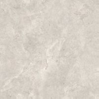 Товар: Керамогранит Zodiac Ceramica Platinum Leica Matt 9mm арт-MN226AYL121209 - фото 1 Керамогранит Zodiac Ceramica Platinum Leica Matt 9mm арт-MN226AYL121209 — фото 1, Керамогранит