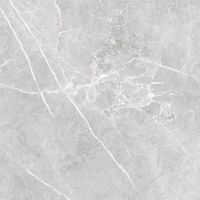 Керамогранит Laparet Lune Grigio серый матовый карвинг арт-LP6060G0071R — фото 13, Керамогранит