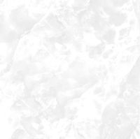 Керамогранит Pardis Ceramic Pazh Maysa Polished арт-186510 — фото 9, Керамогранит