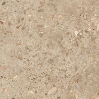 Керамогранит Grespania Bierzo Moka Anti арт-81BZ26A — фото 9, Керамогранит