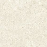 Керамогранит Grespania Fosil Bone Rec арт-81F236R — фото 7, Керамогранит