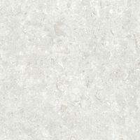 Керамогранит Grespania Fosil Perla Rec арт-82F245R — фото 6, Керамогранит