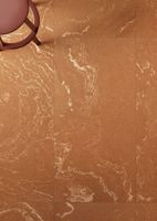 Керамогранит Ceramica Fioranese I Variegati Cotto арт-IV905R — фото 4, Керамогранит