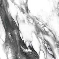 Керамогранит Zodiac Ceramica Painting White Matt 6 mm арт-MN066CY261206  (120х120) — фото 1, Керамогранит