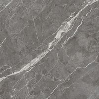 Керамогранит Arcadia Ceramica Esperia Grigio Carving арт-CR6001-A — фото 3, Керамогранит