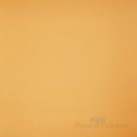 Керамогранит Грани Таганая Профи Матовый янтарь 60 арт-GT061M — фото 1, Керамогранит