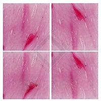 Мозаика Jnj C-Jade Розовый арт-C-JD 101 — фото 1, Мозаика