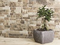 Настенная плитка Cerrad Canella Dark 6781 арт-5903263446781 — фото 4, Настенная плитка