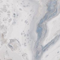 Керамогранит Arcana Ceramica Les Bijoux Doinyo R Polished арт-8P41 — фото 1, Керамогранит