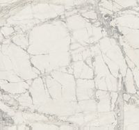 Керамогранит Rex Ceramiche (Florim) Prexious Mountain Treasure Glo Ret арт-756389 — фото 1, Керамогранит