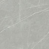 Керамогранит NT Ceramic Bright And Shiny арт-BB6NTT9102 — фото 1, Керамогранит