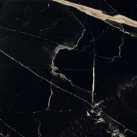 Керамогранит Ceramica Fioranese Sound of Marbles Nero Fondo Levigato арт-M4607LR — фото 1, Керамогранит