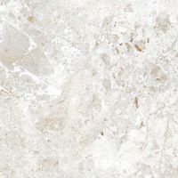 Керамогранит Absolut Gres Breccia Natural Gloss 60 арт-AB 1133G — фото 7, Керамогранит