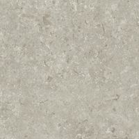 Керамогранит Grespania Fosil Gris Rec арт-82F265R — фото 4, Керамогранит