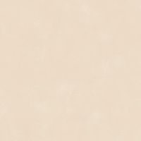 Керамогранит Sant Agostino Insideart Color Sand Nat Ret арт-CSAIASN212 — фото 2, Керамогранит