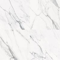 Керамогранит Supergres Ceramiche Purity Of Marble Purity Statuario RT арт-P60S — фото 1, Керамогранит