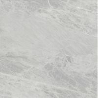 Керамогранит Ariostea Marmi Classici Gris De Savoie Polished 8mm арт-PL6498 — фото 1, Керамогранит