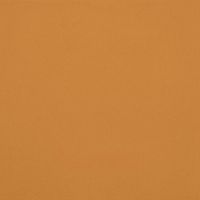 Товар: Керамогранит Casalgrande Padana Unicolore Technic Giallo Ocra Levigato 8mm арт-707014 - фото 1 Керамогранит Casalgrande Padana Unicolore Technic Giallo Ocra Levigato 8mm арт-707014 — фото 1, Керамогранит