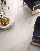 Atlas Concorde Russia Forte Dei Marmi Ceppo Apuano Pearl Bordo Piscina арт-620090000991 — фото 9, Спец. Элемент