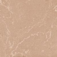 Керамогранит Ceramica Fioranese I Variegati Cipria арт-IV902R — фото 1, Керамогранит