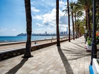 Керамогранит Imola ceramica Trail 18 Porf Mix18 20 арт-PORFMIX1820 — фото 7, Керамогранит