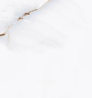 Товар: Керамогранит Pardis Ceramic Pazh Barcelon Polished арт-166295 - фото 3 Керамогранит Pardis Ceramic Pazh Barcelon Polished арт-166295 — фото 3, Керамогранит