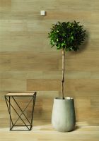 Напольная плитка Fap Ceramiche Nuances Sandalo Rt 1 арт-fJOF — фото 11, Напольная плитка