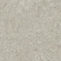 Керамогранит Grespania Fosil Gris Rec арт-82F265R — фото 8, Керамогранит