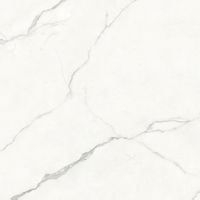 Керамогранит Zodiac Ceramica Arabescato Vagli Matt 9mm арт-MN082AYD121209 — фото 1, Керамогранит