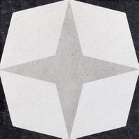 Товар: Керамогранит Ceramica Fioranese Cementine Black&White 1 арт-CBW20C1 - фото 1 Керамогранит Ceramica Fioranese Cementine Black&White 1 арт-CBW20C1 — фото 1, Керамогранит