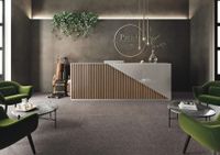 Керамогранит Imola ceramica Parade Prde12AgRm арт-Prde 12Ag Rm — фото 2, Керамогранит