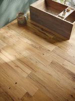 Товар: Керамогранит Piemme Ceramiche (Piemmegres) Homey Cannete Laurel арт-5984 - фото 2 Керамогранит Piemme Ceramiche (Piemmegres) Homey Cannete Laurel арт-5984 — фото 2, Керамогранит