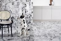 Декор 41zero42 Pulp Parallel арт-4100754 — фото 15, Декор