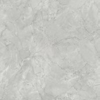 Керамогранит Atlas Concorde Italy Marvel X Grey Cloud Silk арт-AFVM — фото 11, Керамогранит