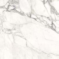 Товар: Керамогранит Ariostea Marmi Classici Arabescato Classico Polished 8mm арт-PL6513 - фото 1 Керамогранит Ariostea Marmi Classici Arabescato Classico Polished 8mm арт-PL6513 — фото 1, Керамогранит